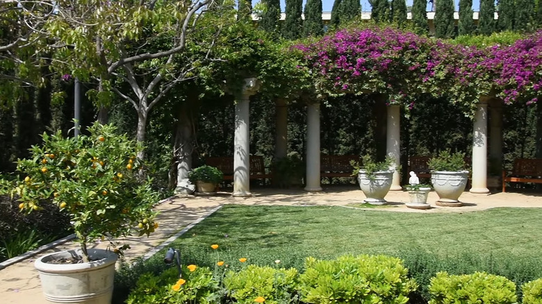 Garden with trees, shrubs, and flowers