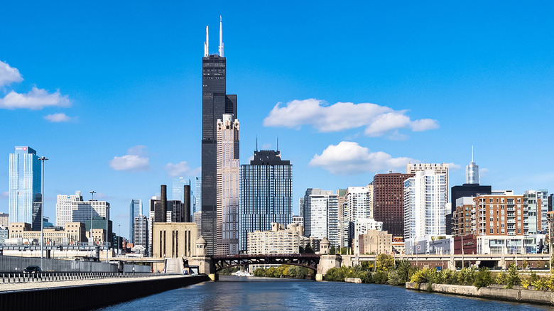 The Chicago skyline