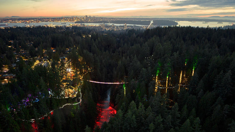 Capilano Suspension Bridge Park lit up for the Canyon Lights experience