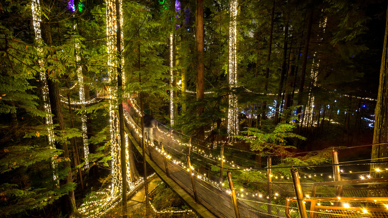 Capilano Suspension Bridge Park in winter