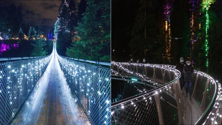 Capilano Suspension Bridge Park lit up for Canyon Lights