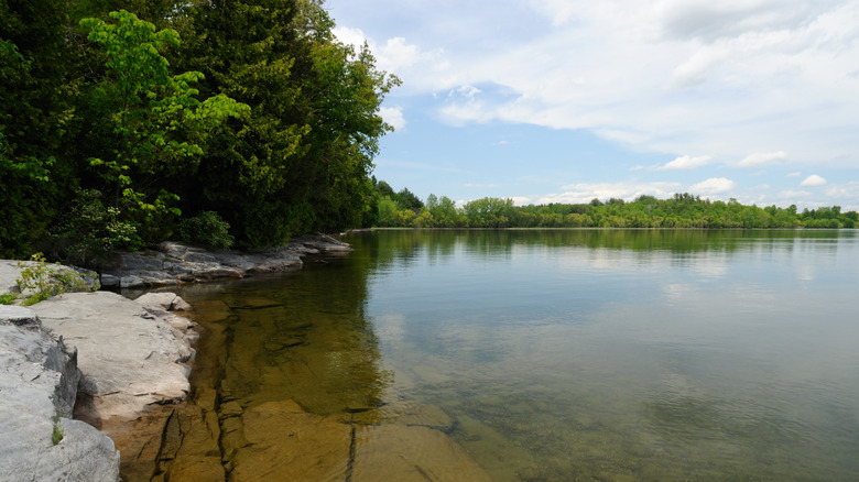 The still water at Button Point at Button Bay State Park in Vermont