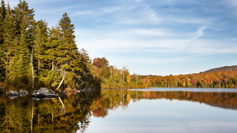 A view of Crystal Lake surrounded by fall trees, Barton, VT