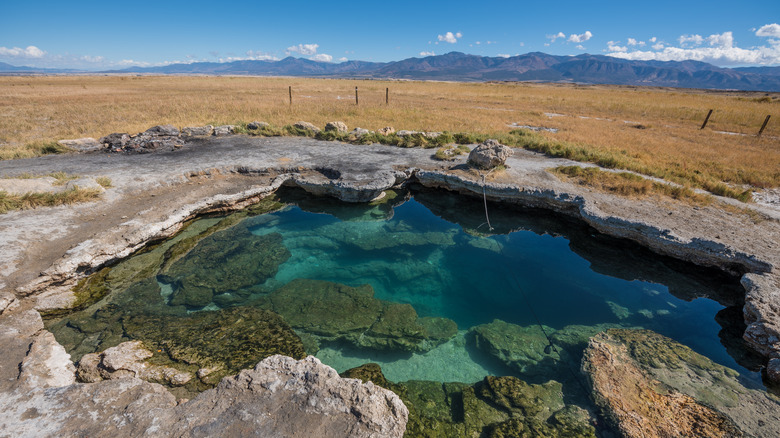 The clear water of Meadow Hot Springs