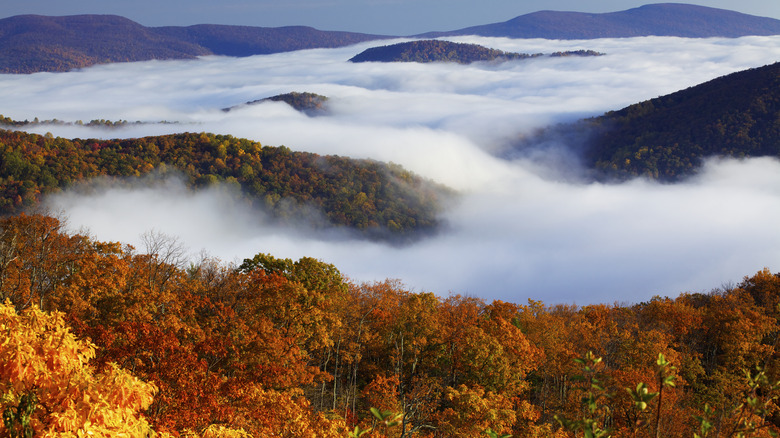 Fog over mountains in fall