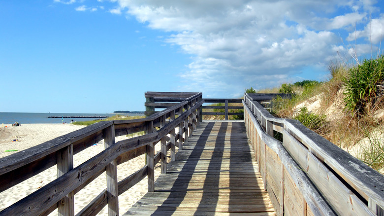 Dock near Cape Charles Beach