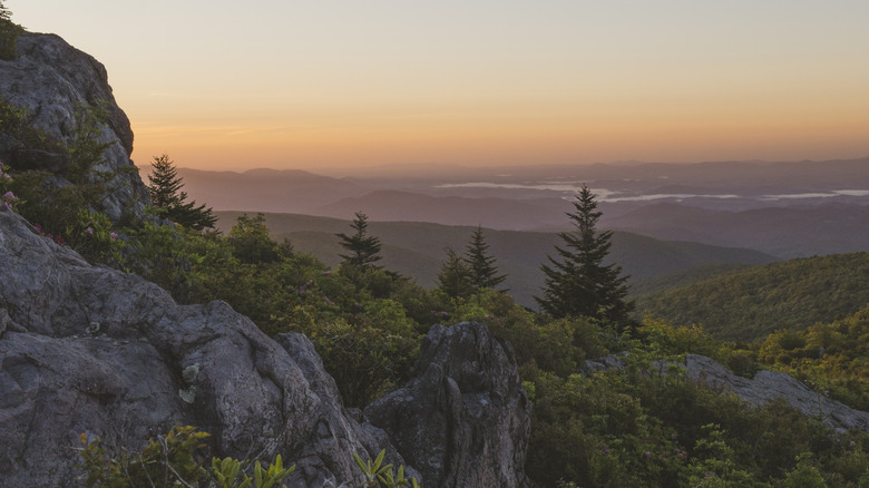 Sunrise from the slopes of Mount Rogers with trees and boulders