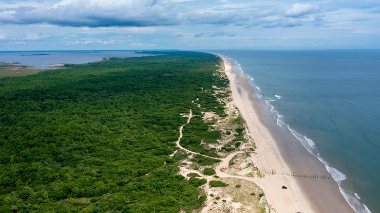 Aerial view of the secluded beach and pristine nature at False Cape State Park