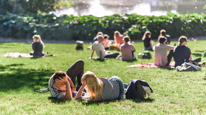 Danish people practicing hygge at park