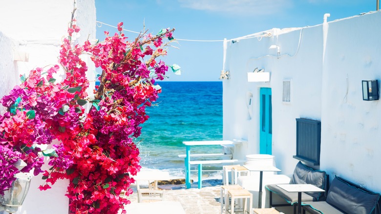 White building with pink flowers