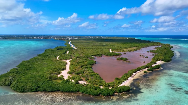 Caribbean island peninsula with greenery