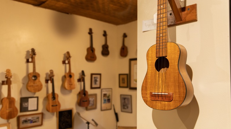 Holualoa ukulele art gallery