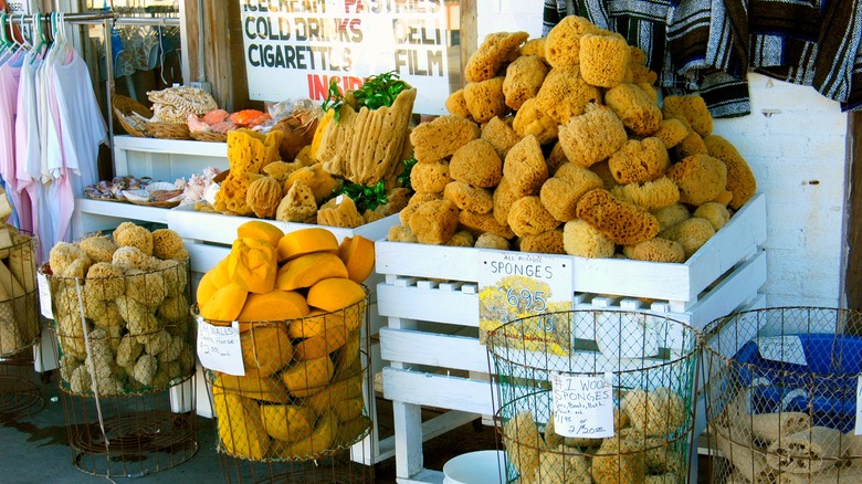 Sponge display in Tarpon Springs