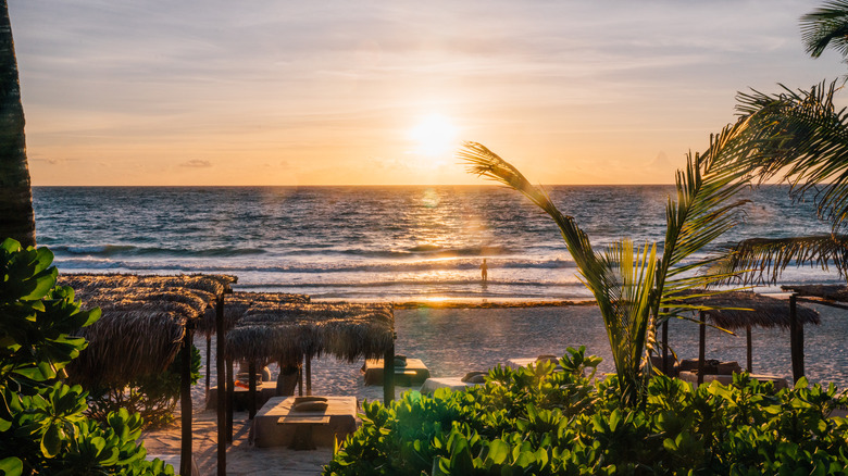 Sunset over the beach and sea