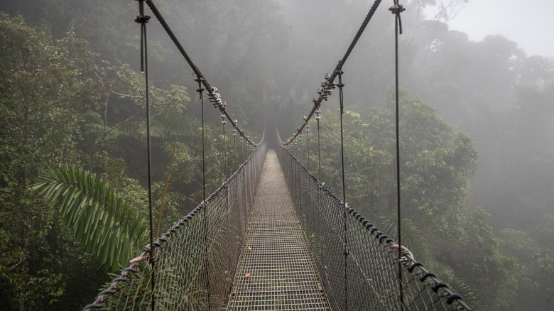 Suspension bridge in Costa Rica on a misty day