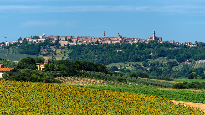 Treia rural Italian landscape