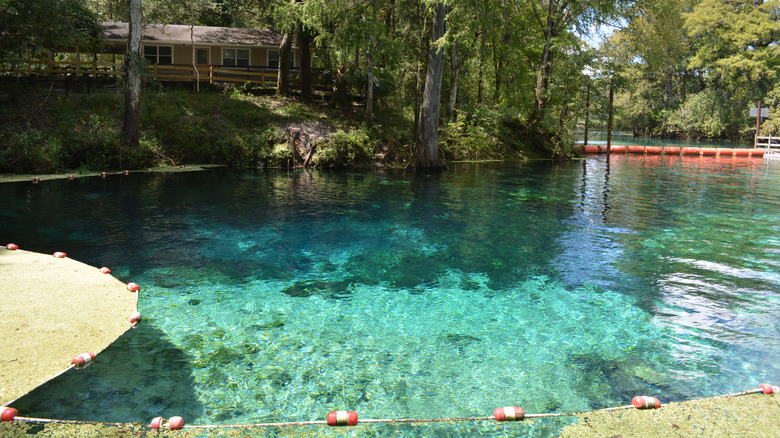 Empty swimming area at Fanning Springs