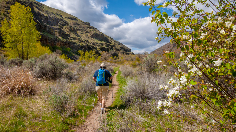 Hiking through the beautiful sorrounding nature of Yakima Valley