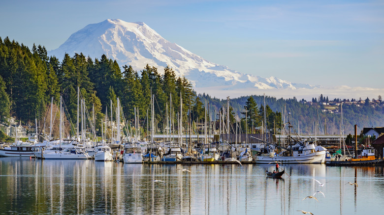 Waterfront of Gig Harbor, Washington, with Mount Rainier in the background