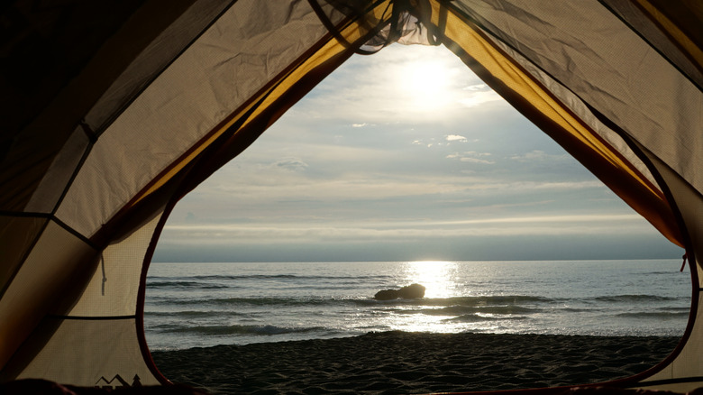 A camp site on the beach