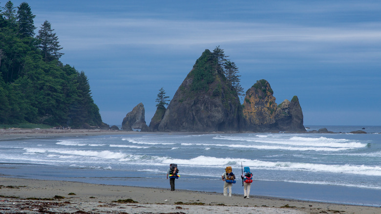 hikers on the beach with sea stacks