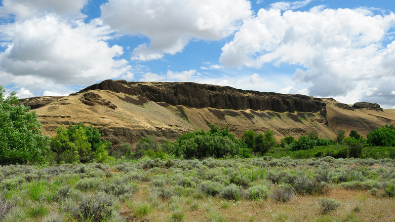 Arid desert with sagebrush at Ginkgo Petrified Forest State Park