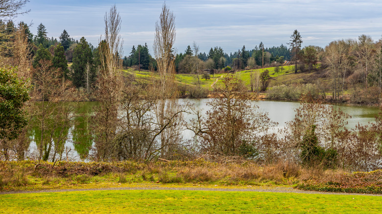 Fort Steilacoom Park