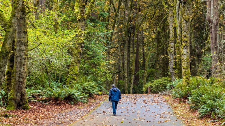 An individual walking at Point Defiance Park in Tacoma, WA