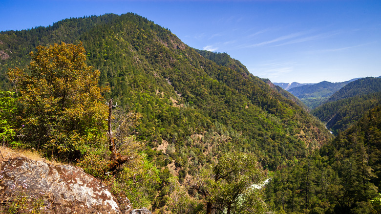 Mountain and forests in Hoopa Valley Reservation