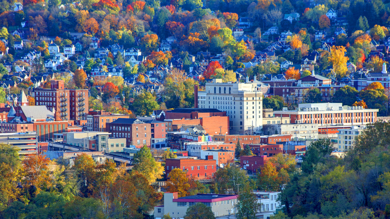 An aerial view of Morgantown, West Virginia surrounded by foliage