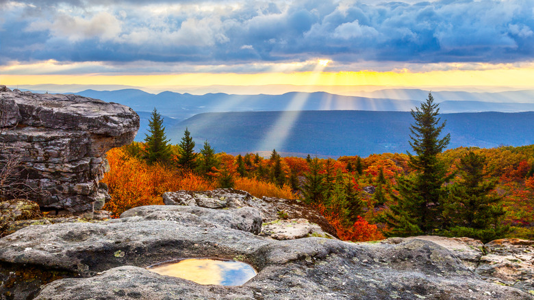 Davis West Virginia Dolly Sods Wilderness landscape