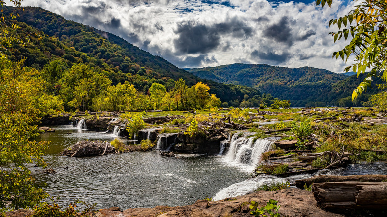 Forest and waterfall landscape in Hinton, West Virginia