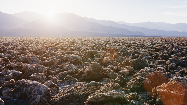 salt flats at the Devil's Golf Course in Death Valley National Park