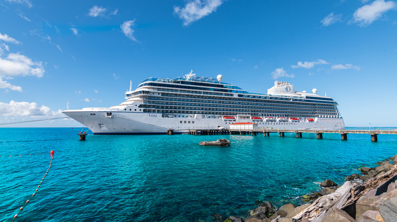 Docked cruise ship at port