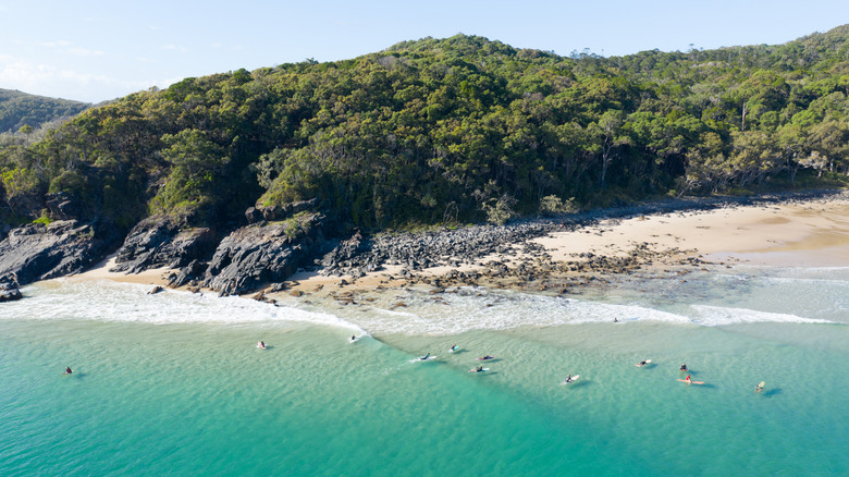 Aerial view of surfers along the Sunshine Coast