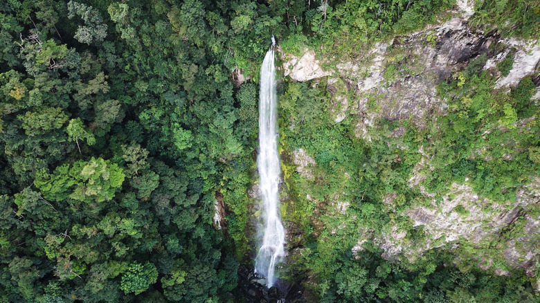 El Bejuco Falls in Pico Bonito National Park in La Ceiba, Honduras