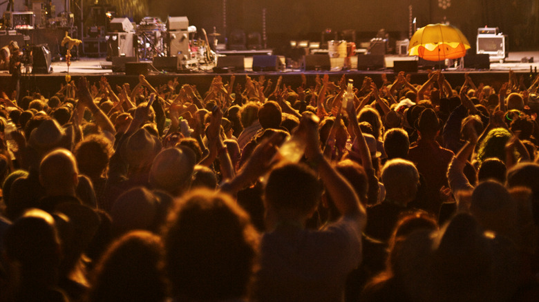 music festival crowd