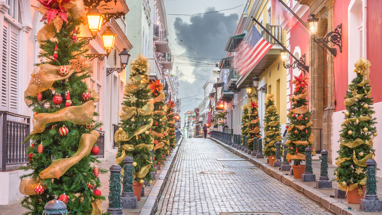 Old San Juan with Christmas trees