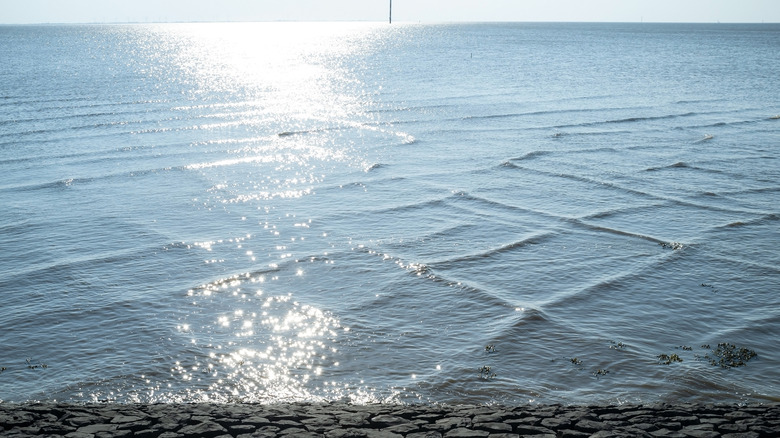 Aerial view of multiple square waves