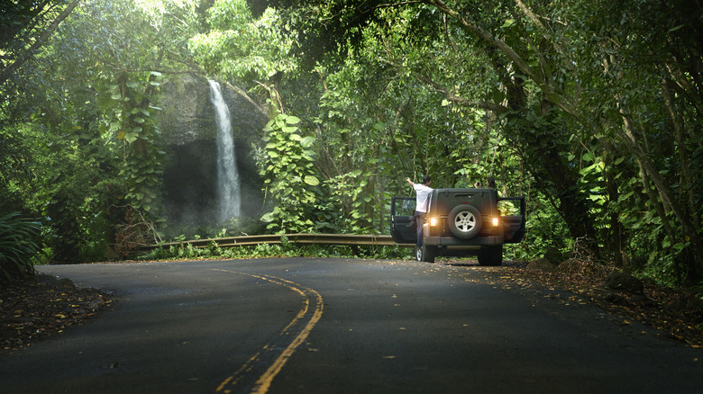 Car pulled over in jungle