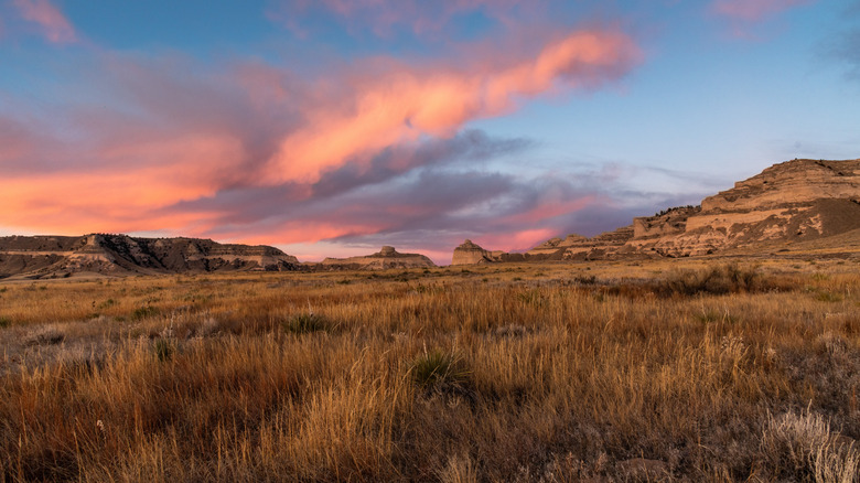 A field at sunset