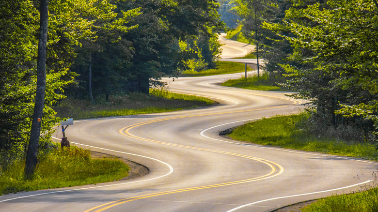 The winding road of the Door County Coastal Byway with trees on either side