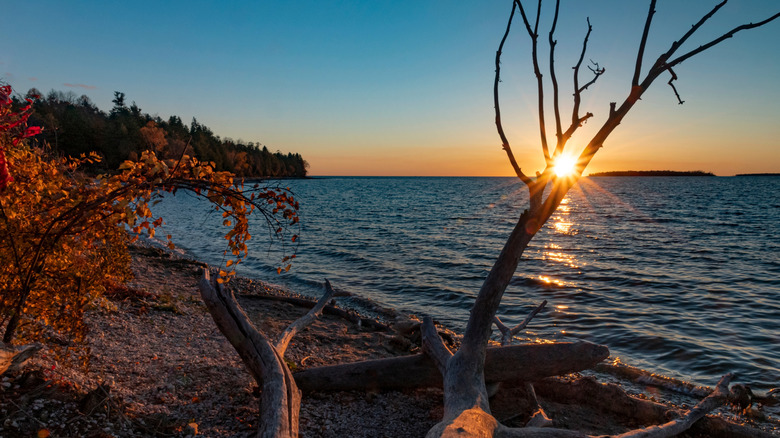 A sunset peaking through a bare tree in Peninsula State Park