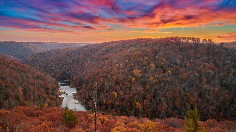 East Rim Overlook in Big South Fork