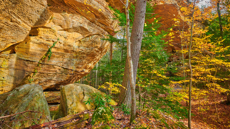 Big South Fork in fall