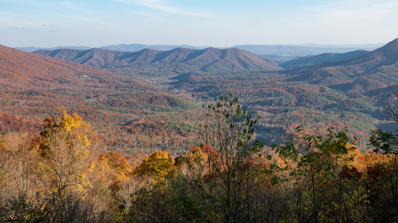 view from Big Walker Lookout of rolling mountains bursting with fall colors