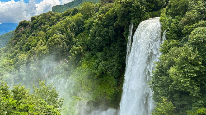 Large waterfall in a forest