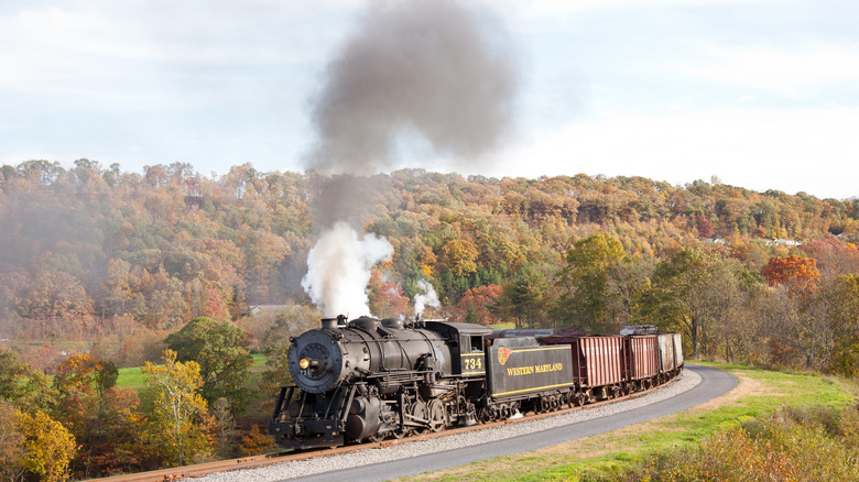 Steam train against a forest background