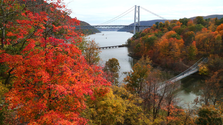 fall foliage along Hudson River