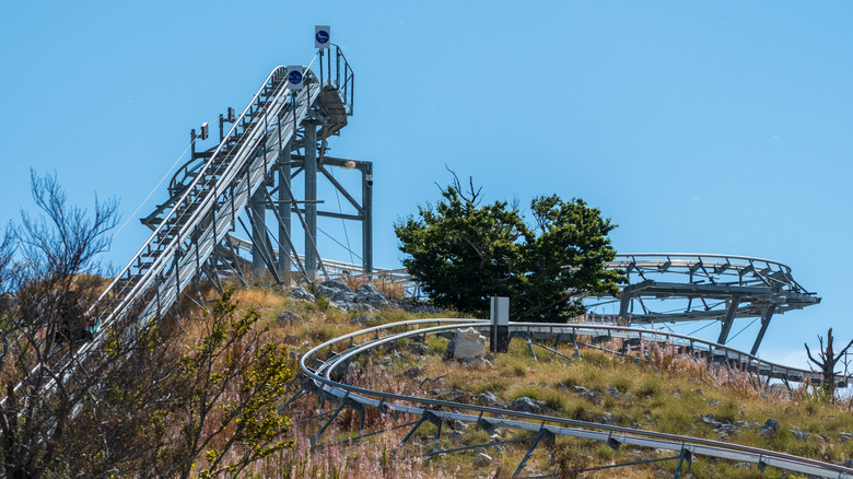 alpine coaster on a grassy hillside